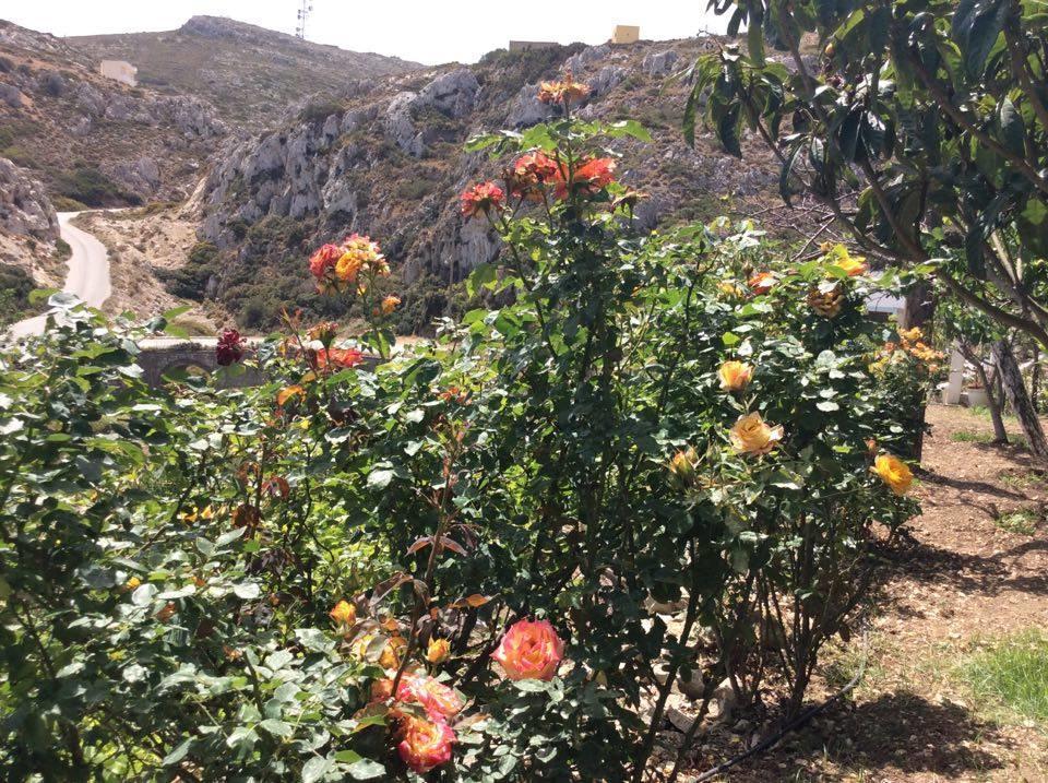 La Villa Di Zazopetra Menetai Bagian luar foto