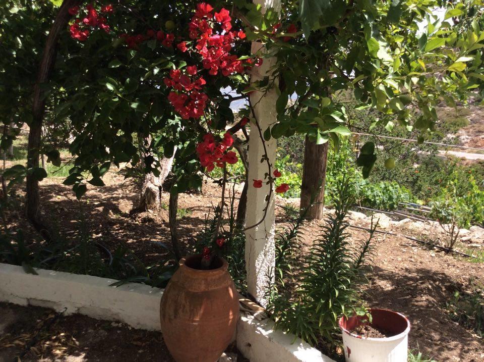 La Villa Di Zazopetra Menetai Bagian luar foto