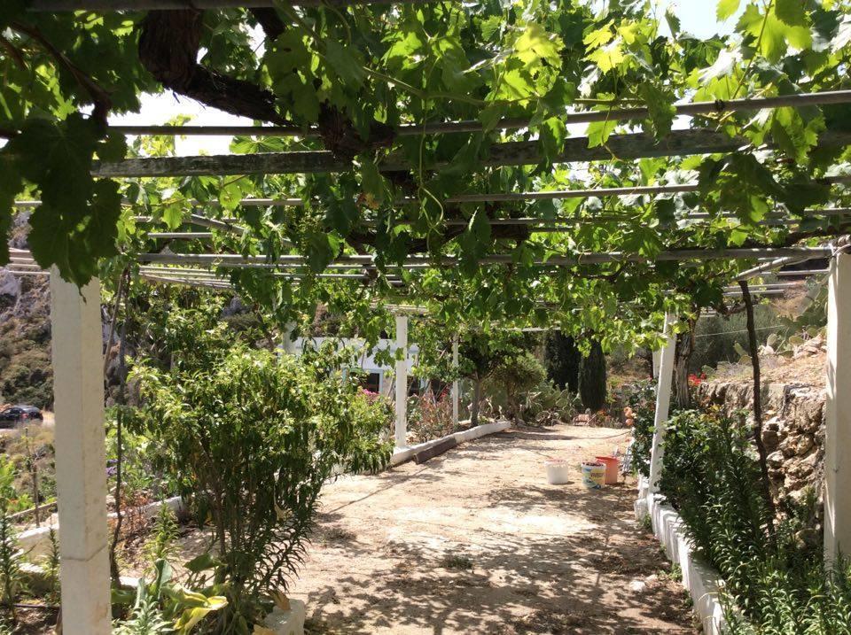 La Villa Di Zazopetra Menetai Bagian luar foto