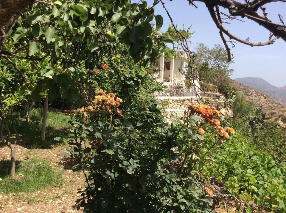 La Villa Di Zazopetra Menetai Bagian luar foto