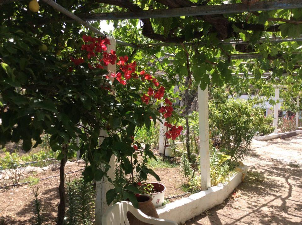 La Villa Di Zazopetra Menetai Bagian luar foto