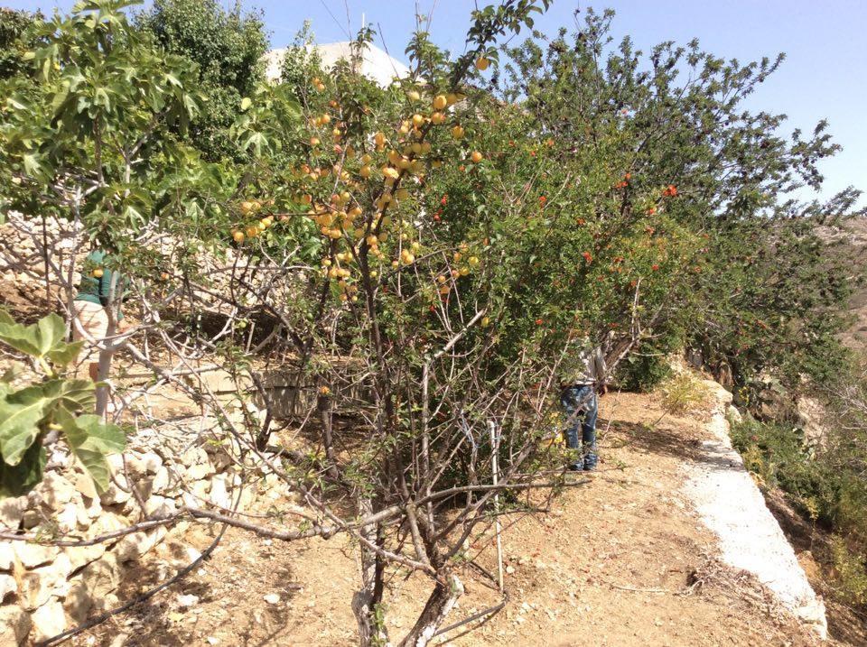 La Villa Di Zazopetra Menetai Bagian luar foto