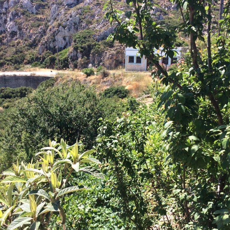 La Villa Di Zazopetra Menetai Bagian luar foto
