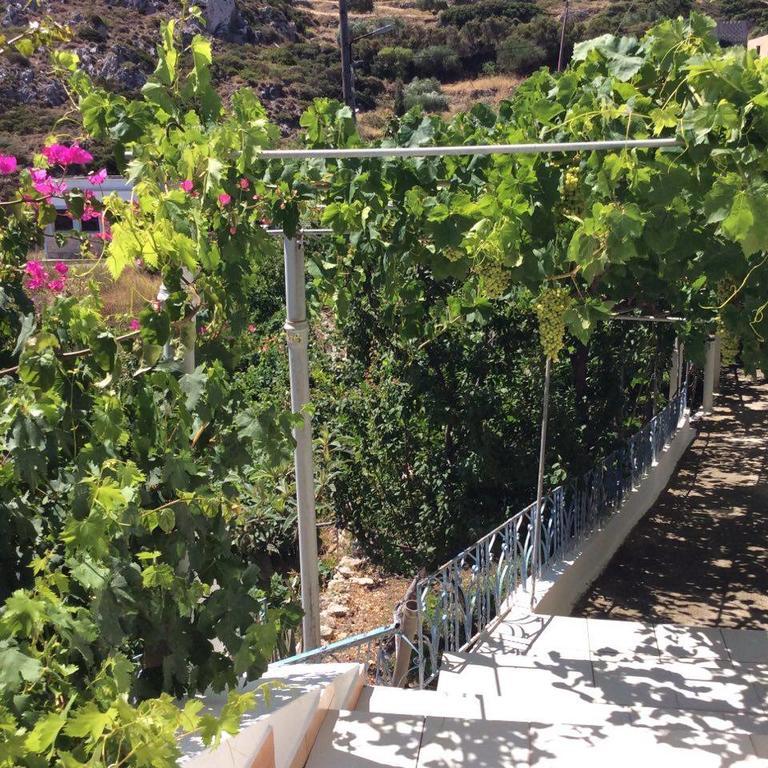 La Villa Di Zazopetra Menetai Bagian luar foto