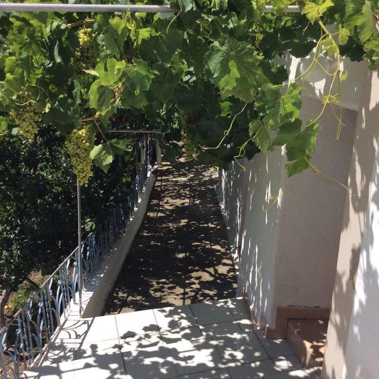 La Villa Di Zazopetra Menetai Bagian luar foto