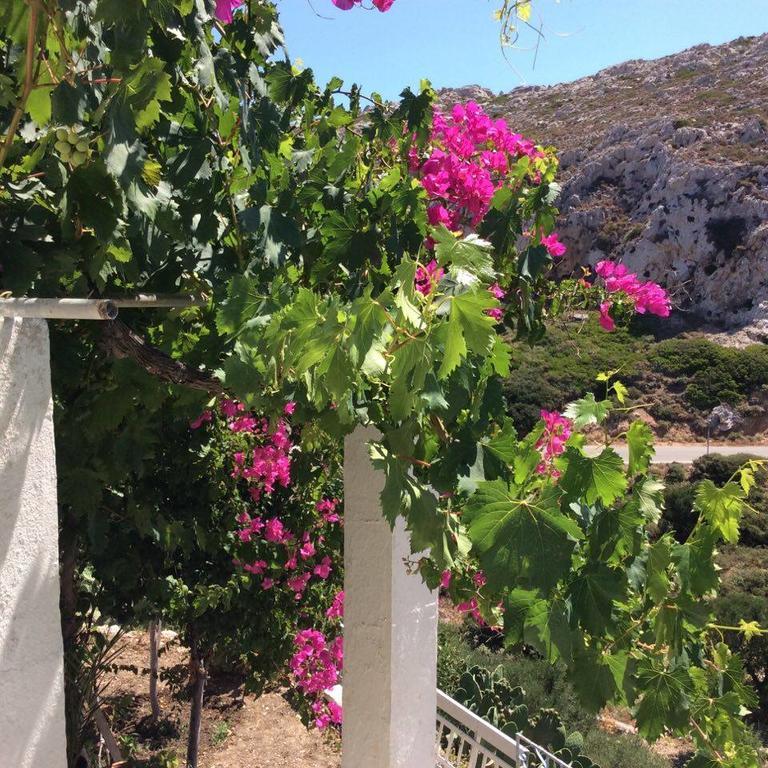 La Villa Di Zazopetra Menetai Bagian luar foto