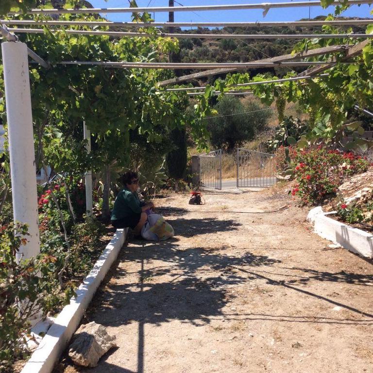 La Villa Di Zazopetra Menetai Bagian luar foto