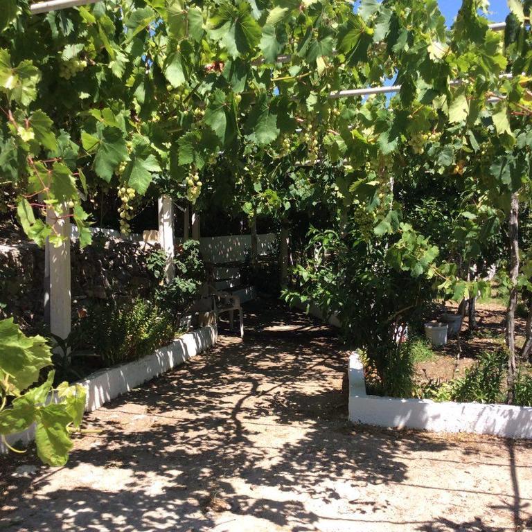 La Villa Di Zazopetra Menetai Bagian luar foto