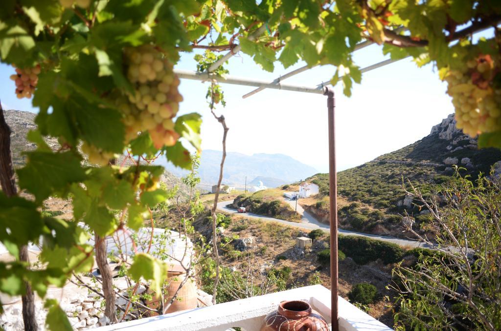 La Villa Di Zazopetra Menetai Bagian luar foto